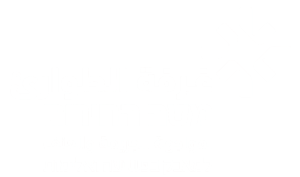 logo-light (1)