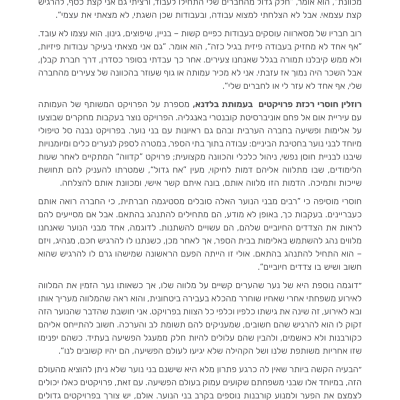 דוח הנוער 2024-17