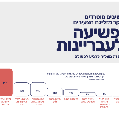 דוח תמונת מצב נתוני פשיעה 2024-13